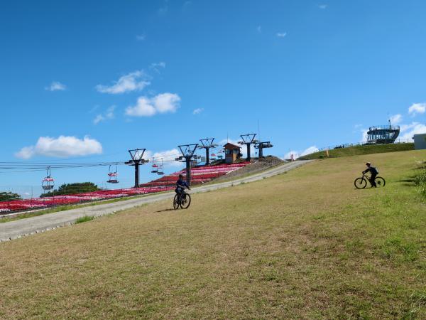 今のままの自分で、もっと自由に遊んでみよう