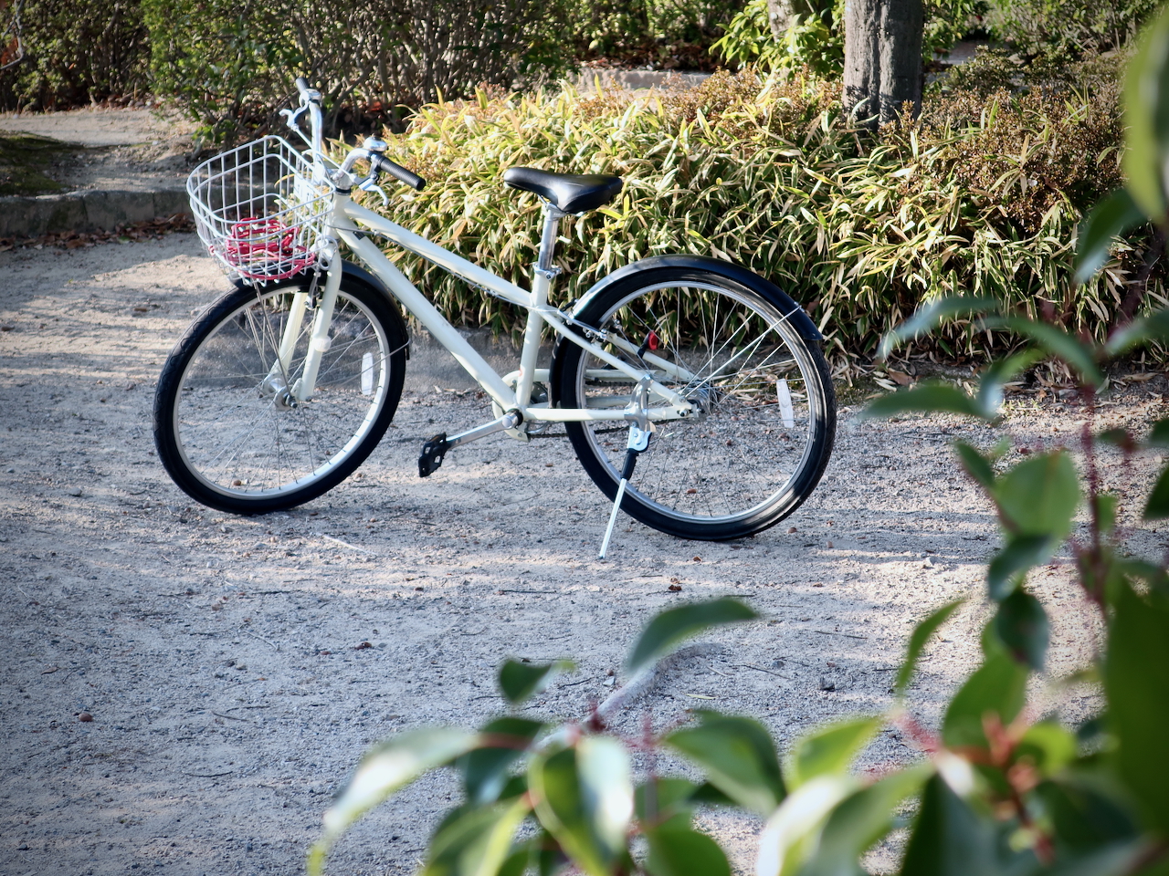 今日のゆるぽた