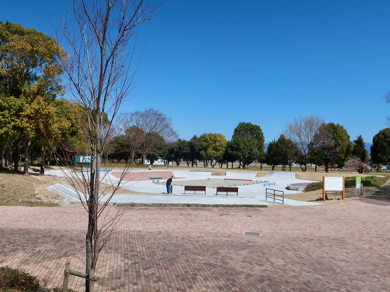 スケートパーク