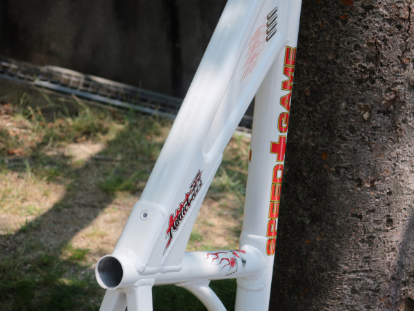 SgaHT SSD カスタム 2009