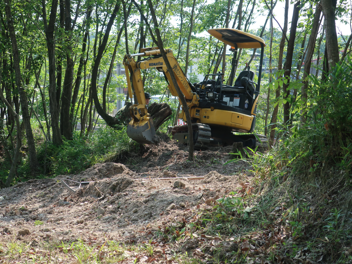笹の根除去