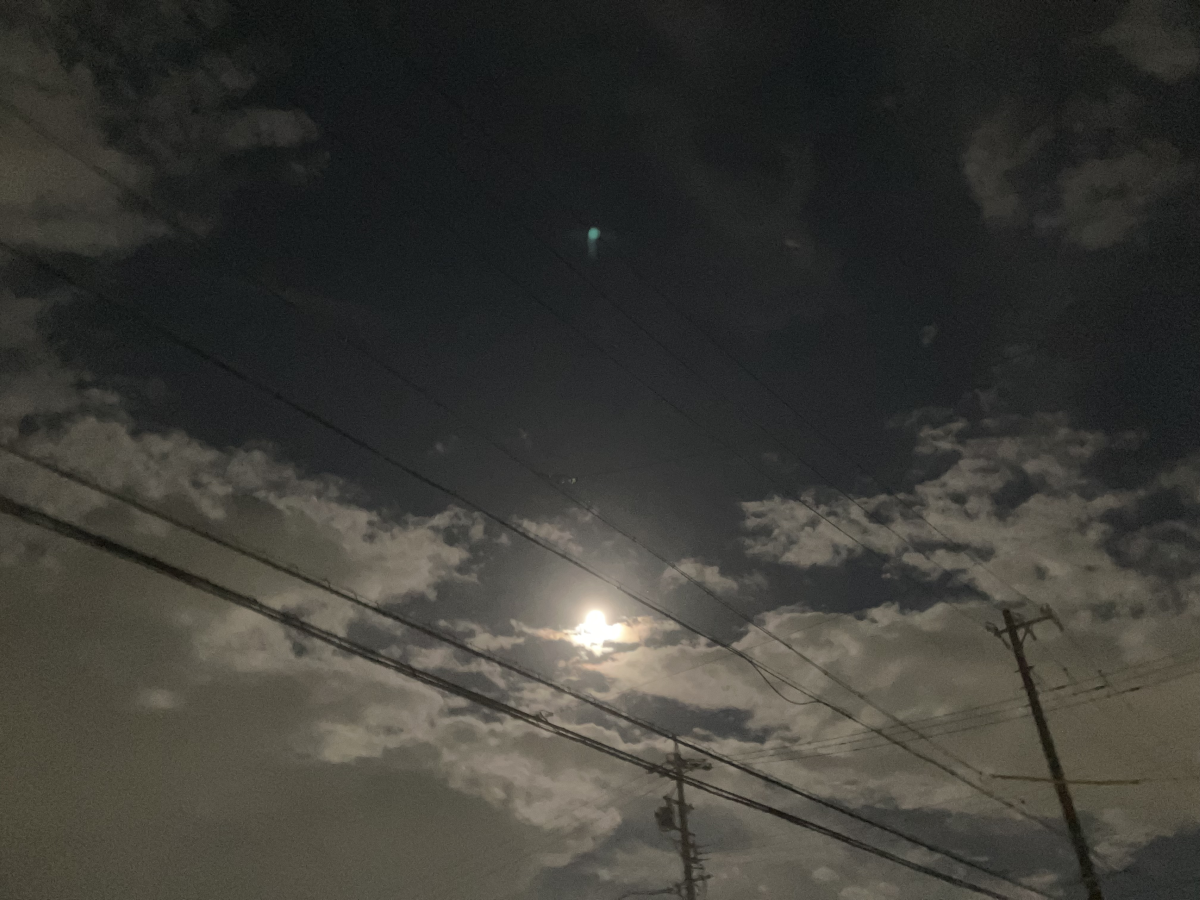 月光