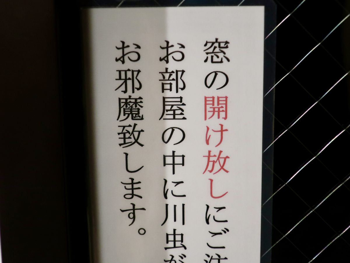お邪魔致