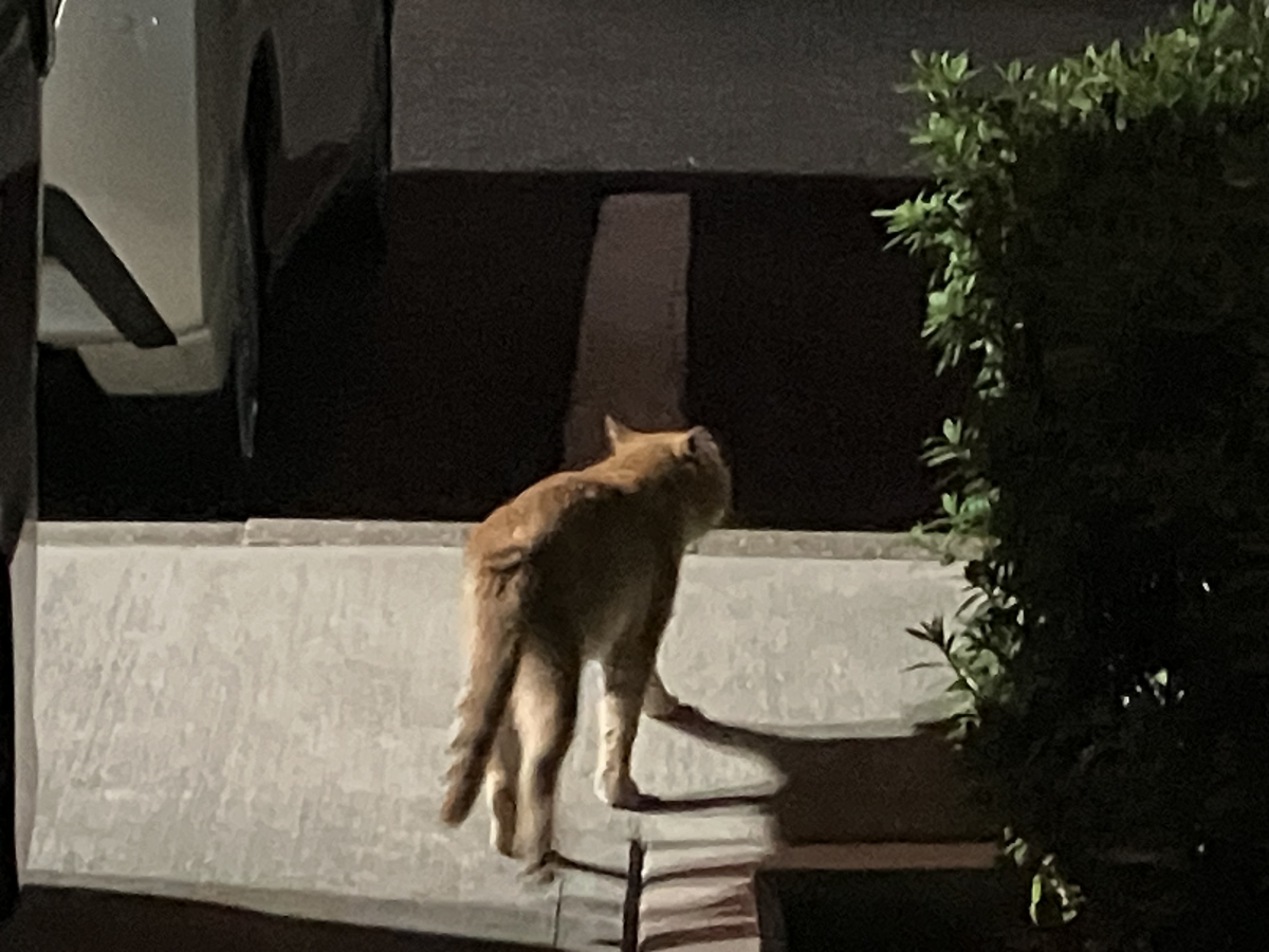 重心の静けさ