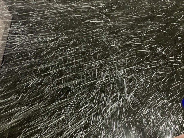 結局南極大冒険